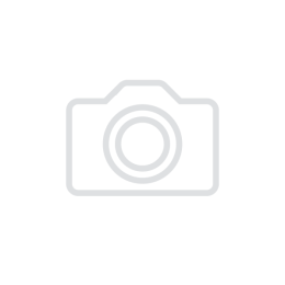 Выключатель освещения салона ВК 407 ПатриотТ СБ (концевик)